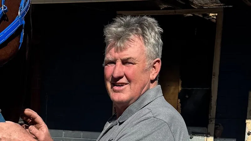 Daughter of Smart Missile on target for Wagga victory
