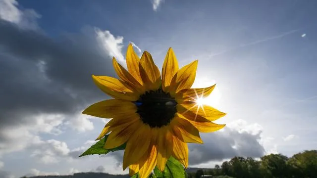 Goldene Jahreszeit: Lust auf Laub, Wärme oder Natur: Wohin im Herbst in Hessen?
