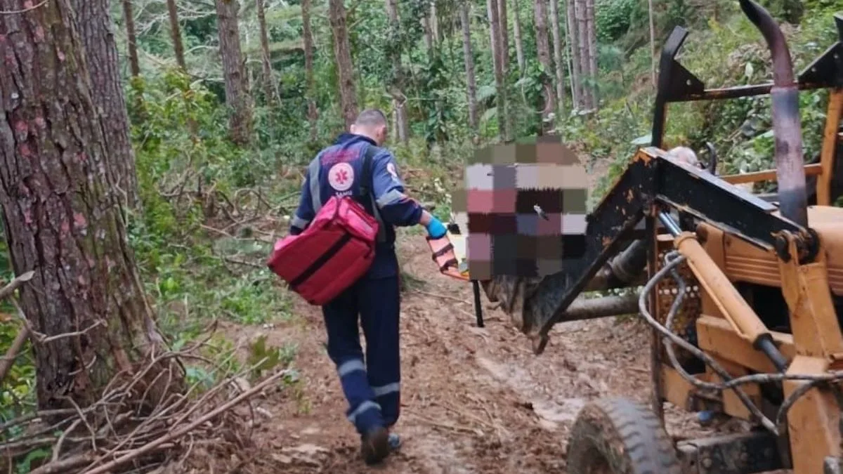 Trabalhador é atingido por árvore durante corte, fica gravemente ferido e bombeiros usam máquina agrícola para resgate em SC