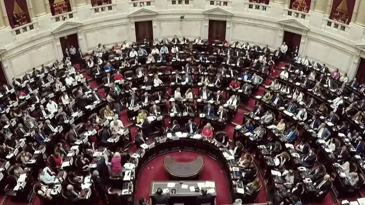 Emergencia en discapacidad: qué se discute en el Congreso y por qué preocupa la continuidad de terapias y traslados