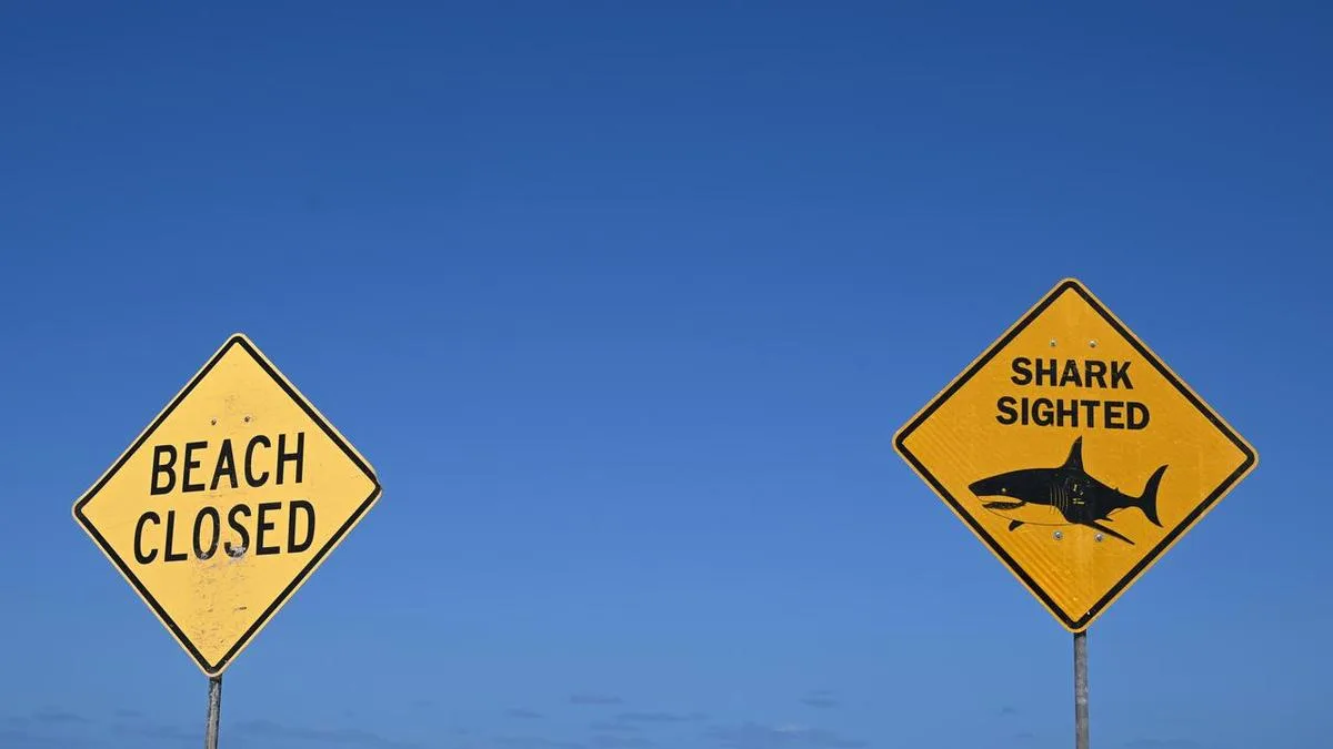Suspected fatal shark attack closes popular beach