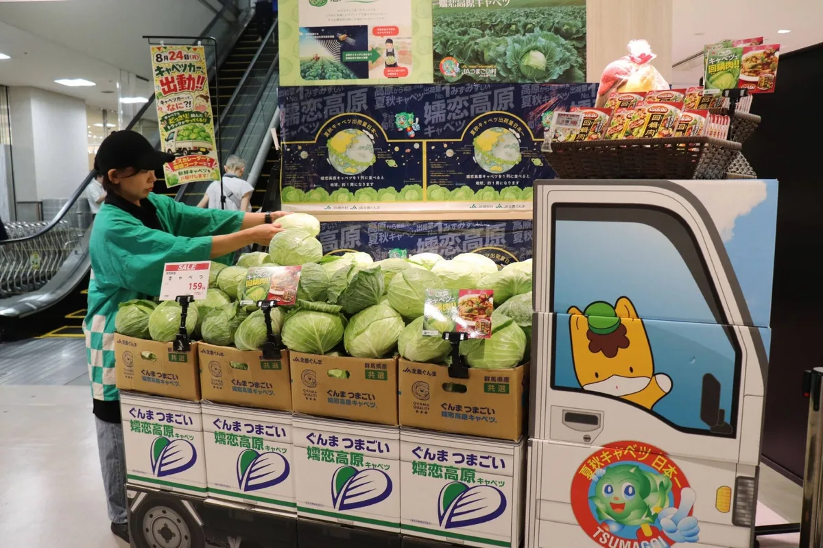 Satellite data used to boost cabbage sales in Japan
