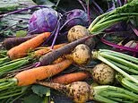 MAGGIE PAGANO: Ditch the avocados, it's time for us to back British food