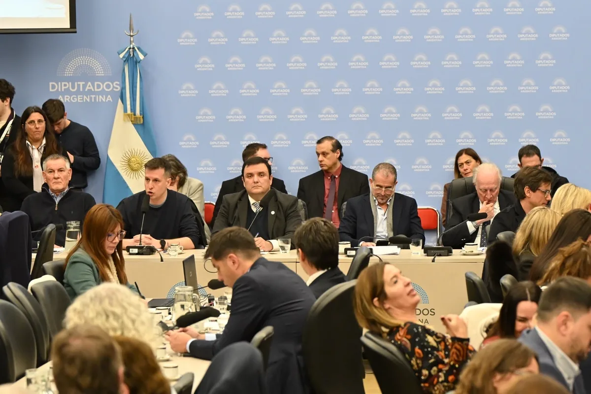 Discapacidad: el oficialismo consiguió el dictamen de mayoría en Diputados