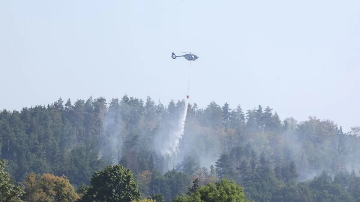 Brände: Feuerwehr beendet Einsatz im „Schwarzen Holz“ bei Plauen