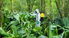 Stinky 'skunk' plant cleared from river