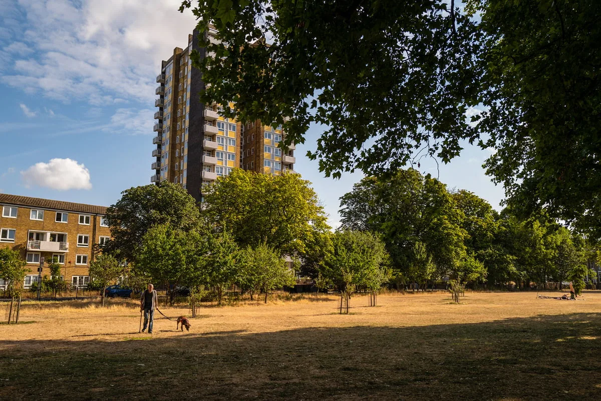 Man charged with arson after 'around 10' fires started in popular London park