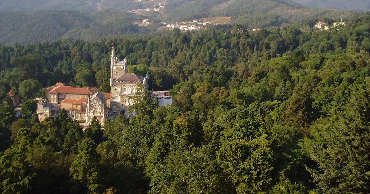 Península Ibérica possui muitas florestas, mas apenas uma pode se orgulhar de ter árvores "terapêuticas": a Mata do Bussaco