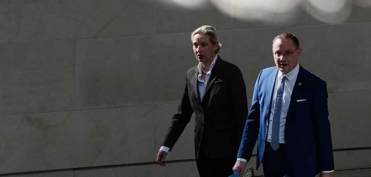 „Antragsoffensive“, Neuwahlen, „Links ist vorbei“ – Das steht im Strategiepapier der AfD