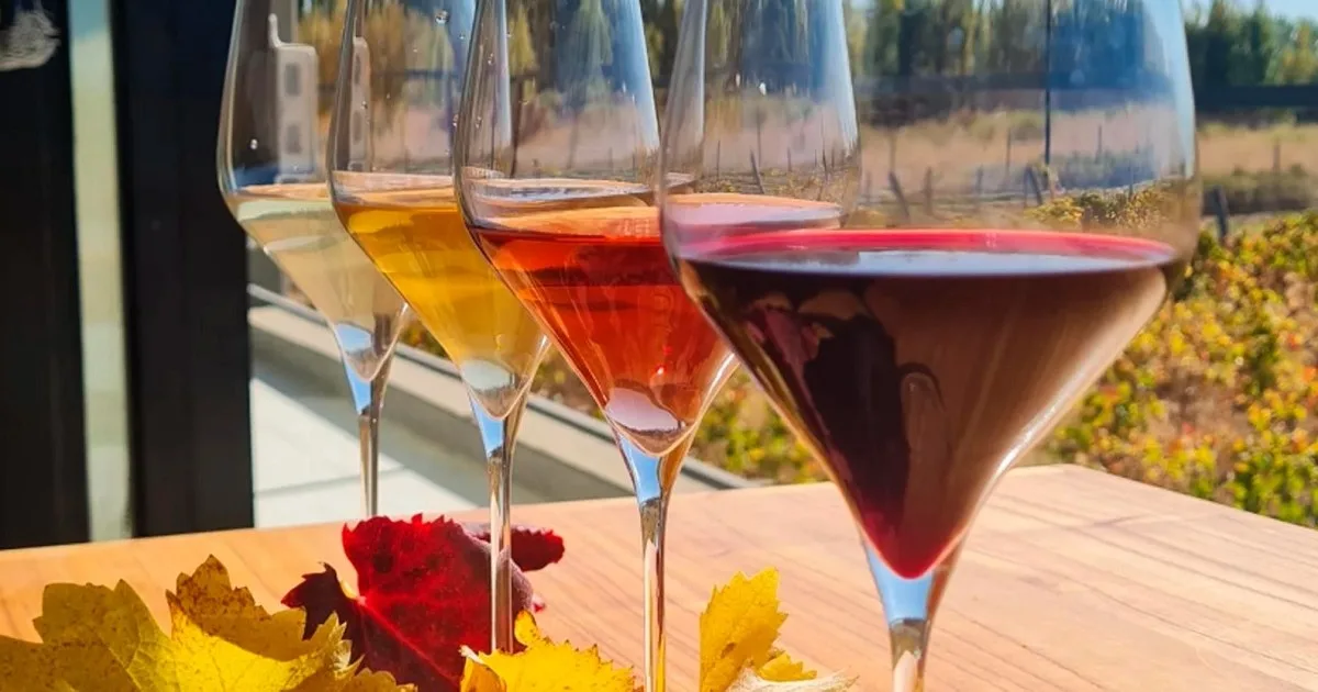 Bodegas en Senillosa: Viñedos artesanales y vinos de Neuquén