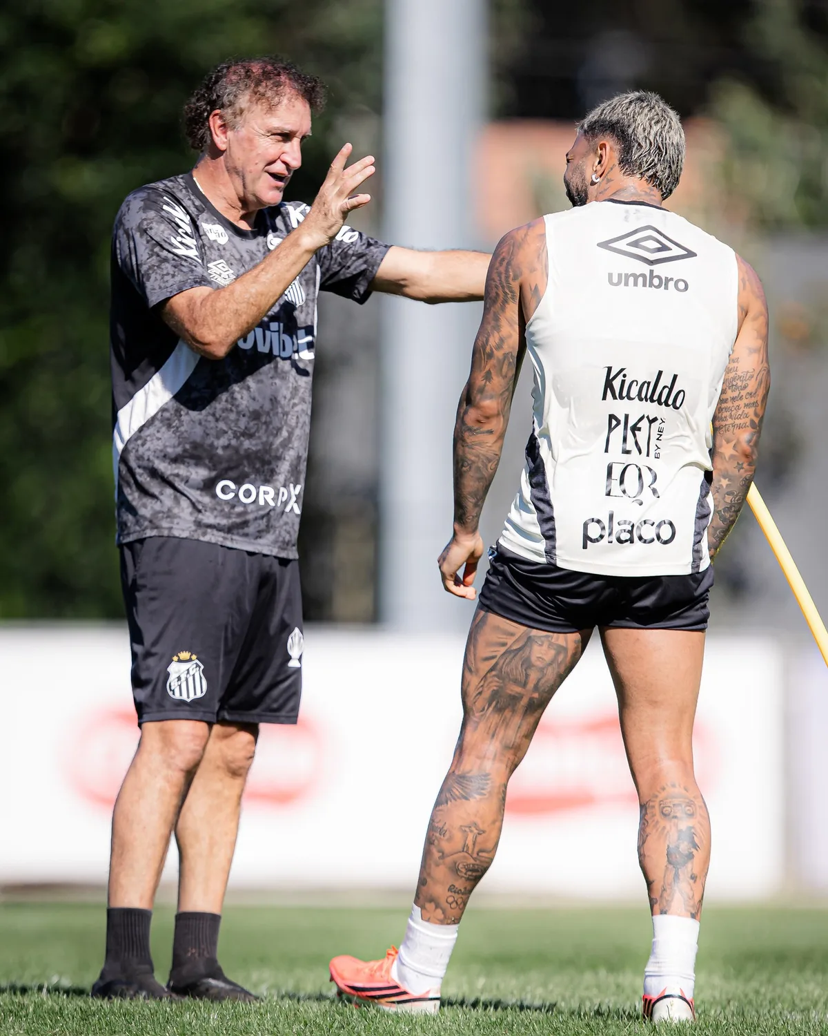 Santos tenta emplacar sequência inédita de vitórias na temporada