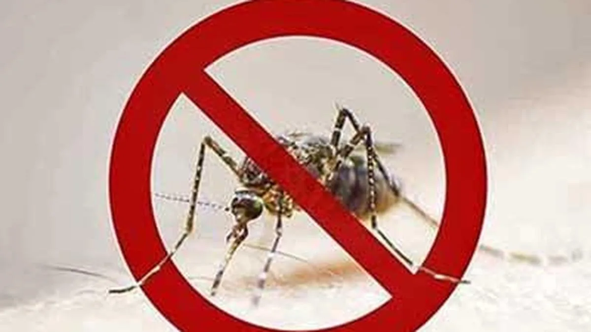 Malaria infections worrying public health experts in Keralam