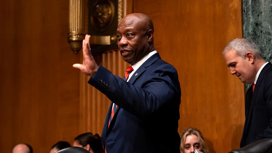 Tim Scott 'very confident' Darline Graham will win runoff