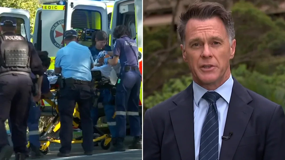 Minns admits NSW government needs to do ‘far better’ on domestic violence as grim dates loom