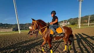 La Rinconada se prepara para el XXXVIII Clásico Gradisco
