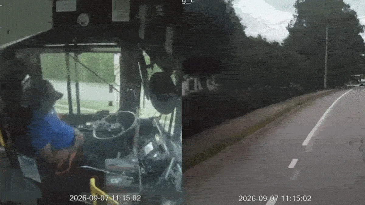 VÍDEO: Motorista de ônibus dorme ao volante e bate em árvores nos EUA