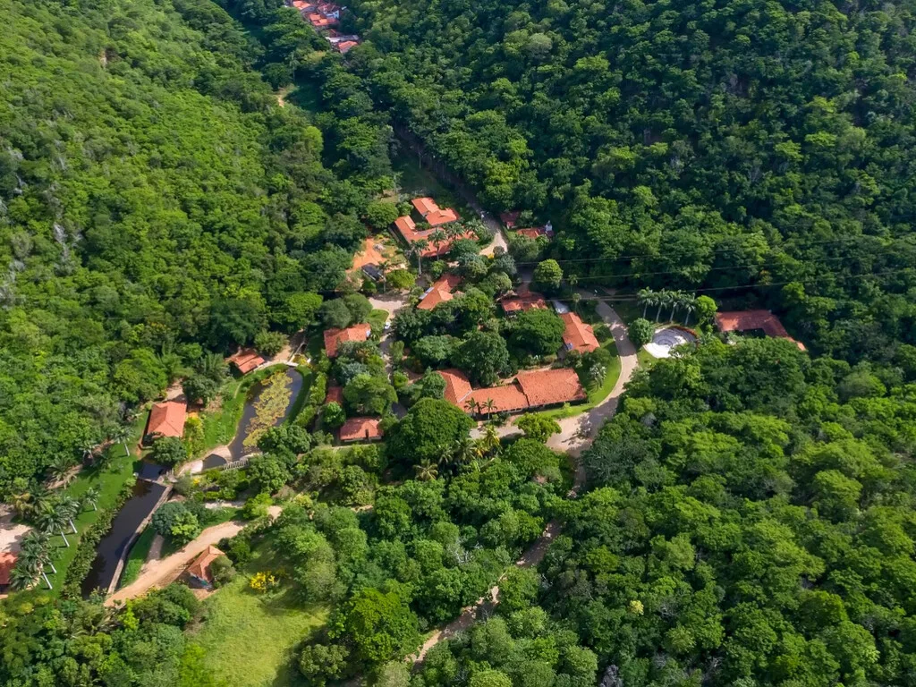 Compraron un rancho ganadero desértico en 1999: dos décadas después, plantaron 2 millones de árboles y resucitaron un ecosistema amazónico completo