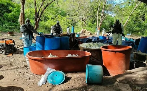 Desmantelan 4 laboratorios clandestinos en Michoacán y Guerrero; en operativo, delincuentes agreden a elementos