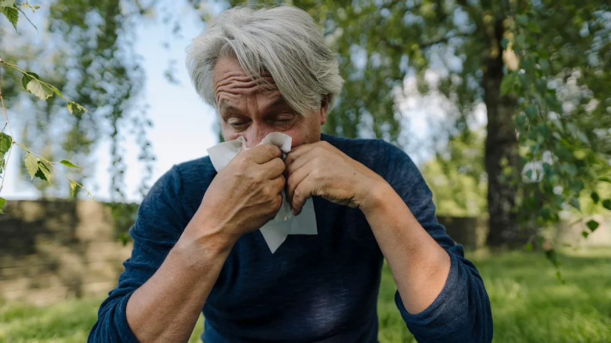 Trotz Allergie - Kann man den Baum des Nachbarn wegen Allergien entfernen lassen?