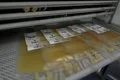 Fin a un dogma de 50 años: Las plaquetas pueden ser refrigeradas tres semanas y conservar toda su eficacia
