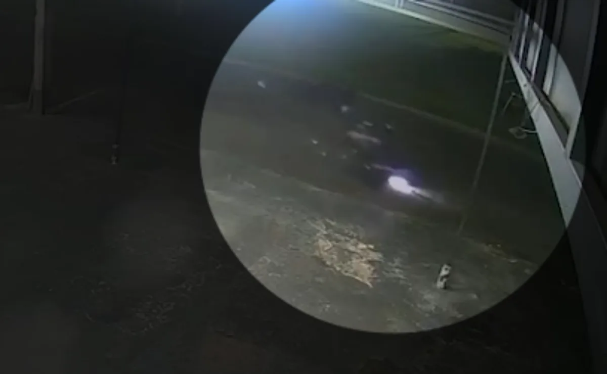 Idoso morre atropelado por motocicleta e família divulga vídeo para ajudar a identificar condutor; assista