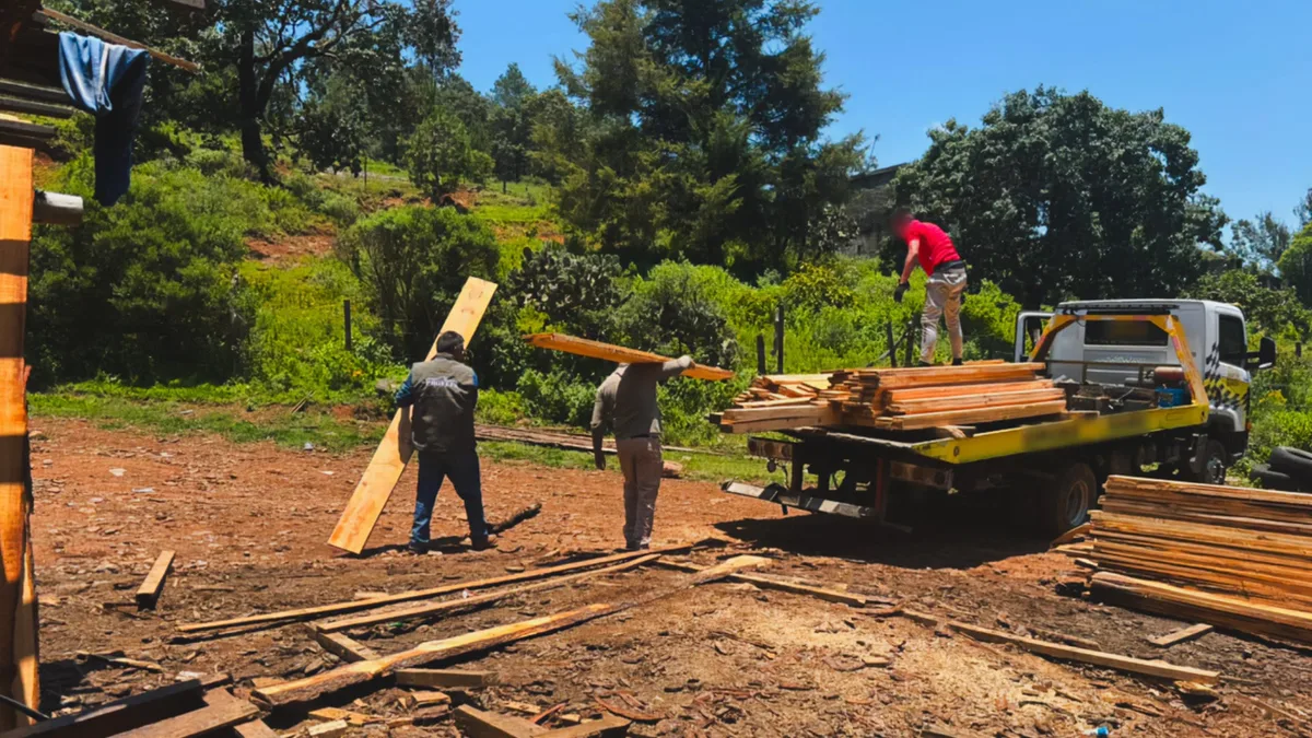 Franja aguacatera de Michoacán: Profepa desmantela centro forestal clandestino en San Miguel del Monte