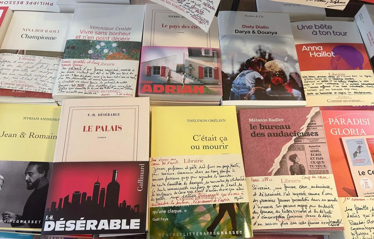 « L’idée d’un livre écrit par l’IA me dégoûte »… L’affaire Thélyson Orélien vue depuis les librairies