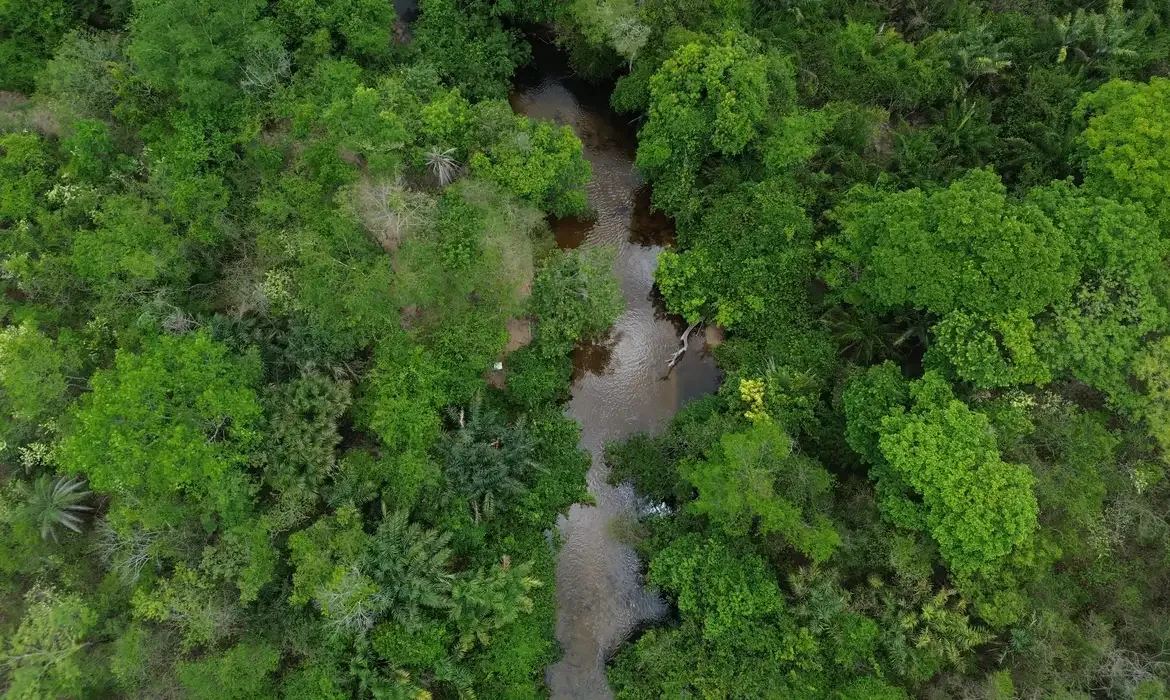 Mapbiomas: menor vegetação nativa aumenta exposição do país ao El Niño