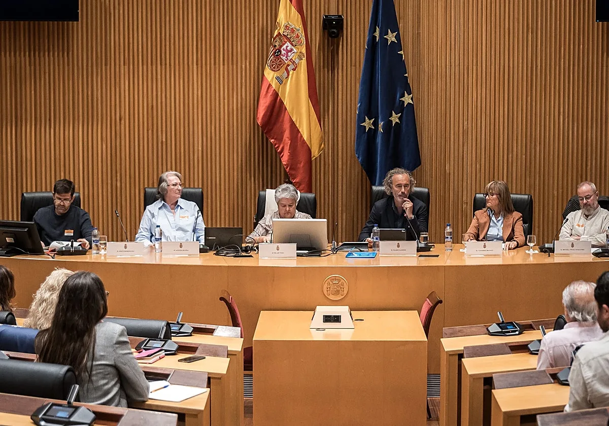 Una investigadora del accidente de Adamuz denuncia cambios en los informes técnicos por sus superiores