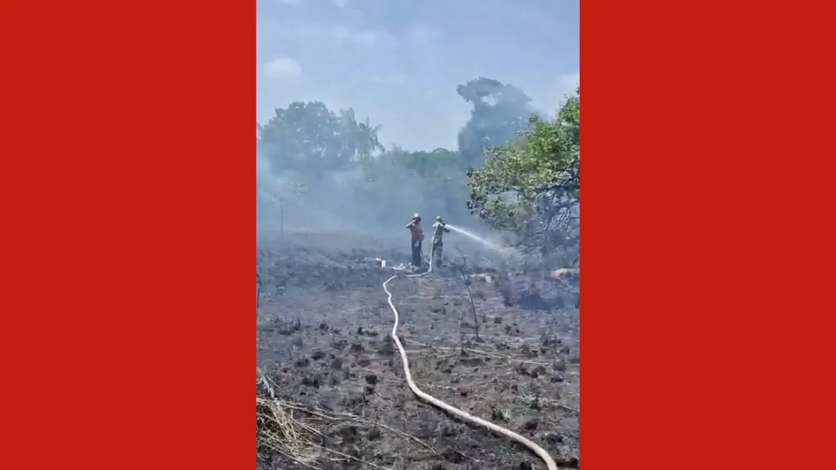 Incêndio de grandes proporções atinge área de mata em Salinópolis