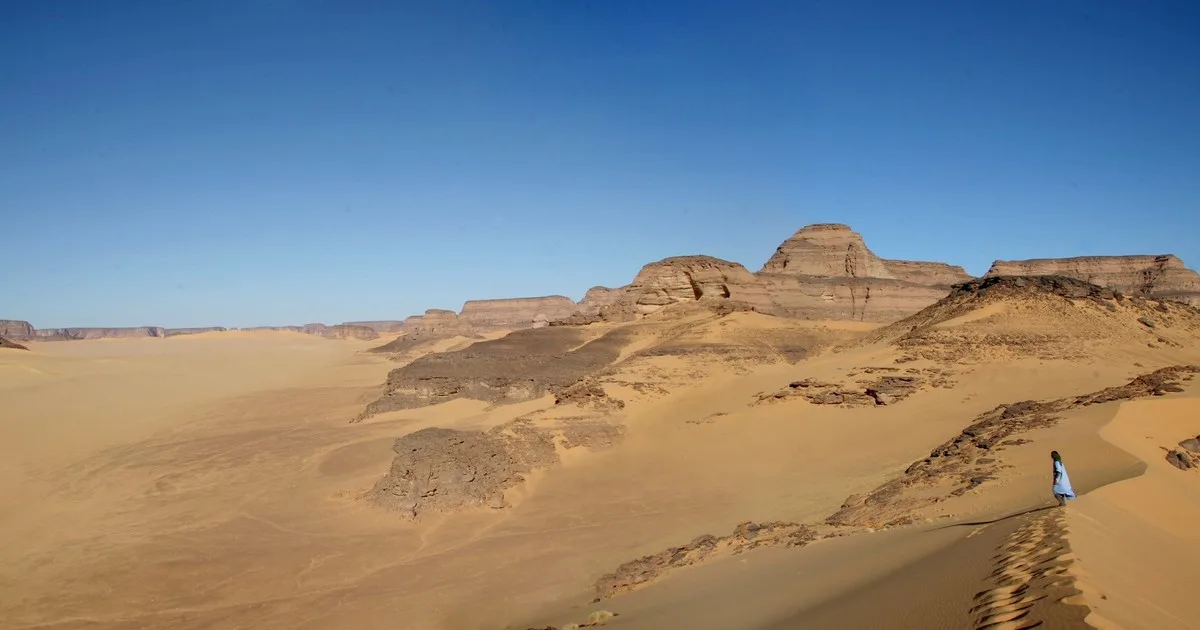 Hallaron un antiguo cementerio de tiburones en pleno desierto egipcio