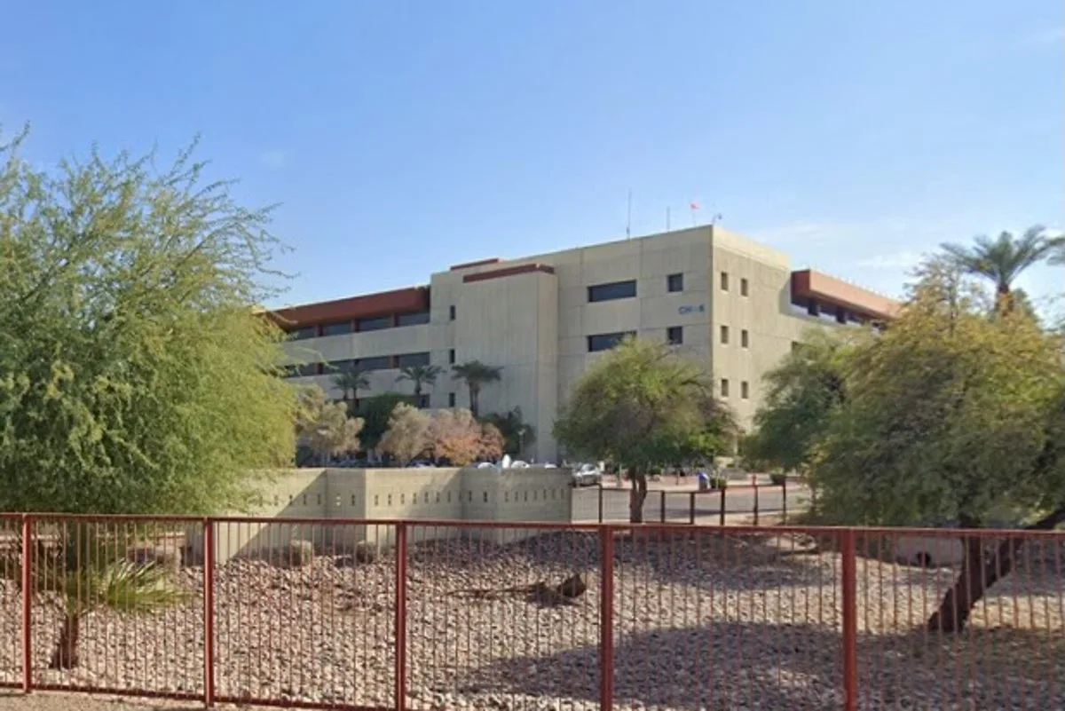 3 hospitalized as massive swarm of bees invades Arizona computer workplace and terrorizes employees