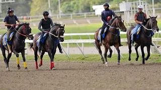 La Rinconada: Favoritos de la cátedra para el ciclo no válido de la reunión N°41 a correrse el domingo 18-10-2026