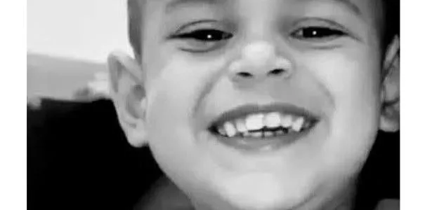Menino de dois anos morre após ataque de pitbull da própria família em SP
