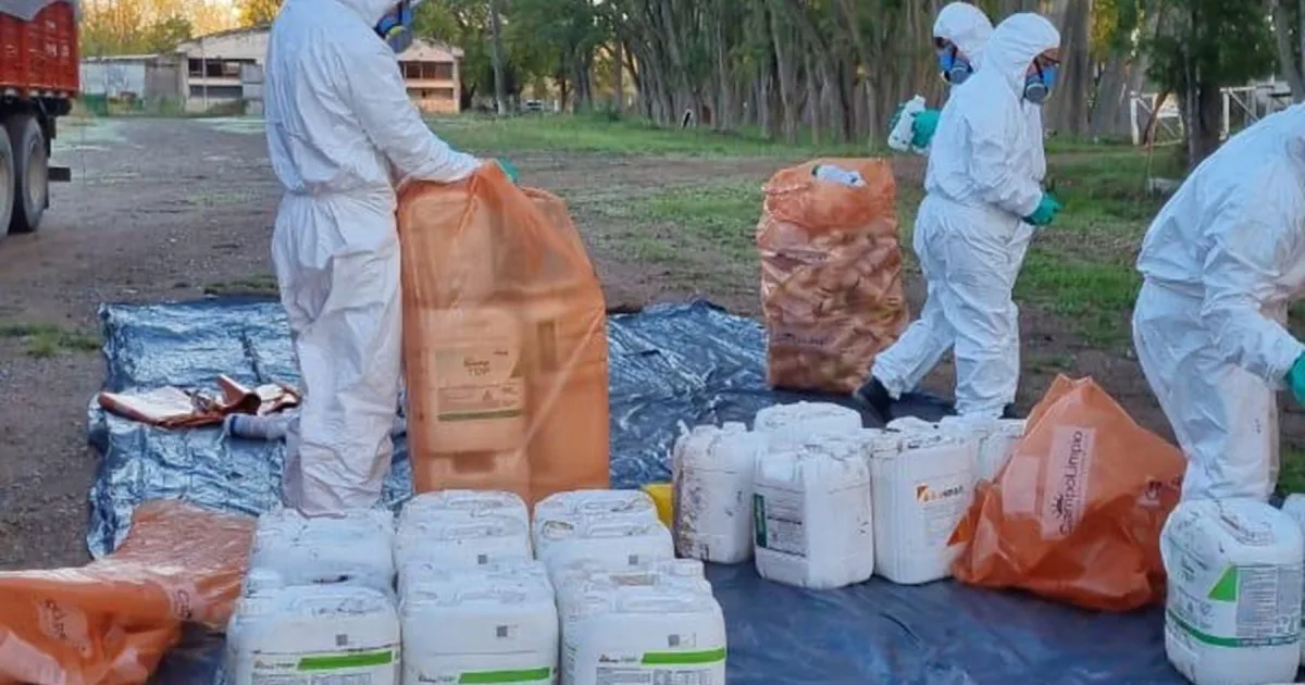 El Valle de Viedma avanza en la recuperación de envases vacíos de fitosanitarios