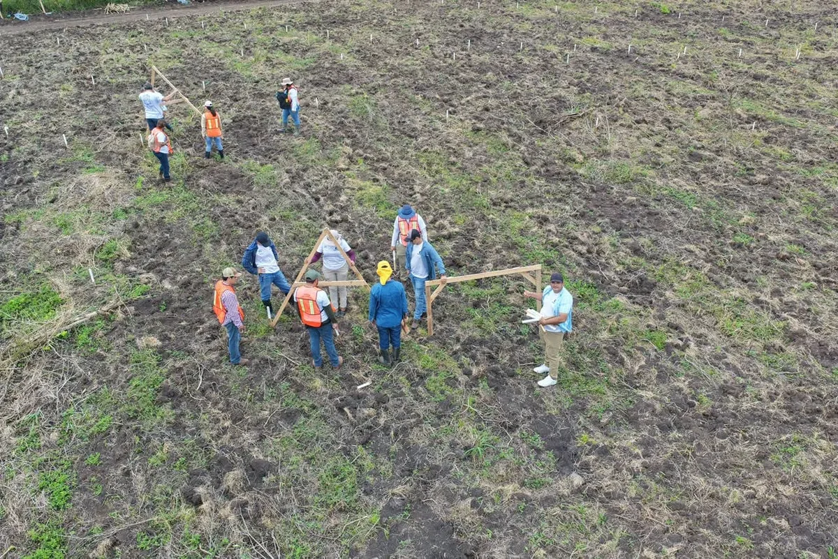 El programa Suelos y Agua para el Futuro en Guatemala impulsa una parcela piloto para redistribuir la lluvia en Petén