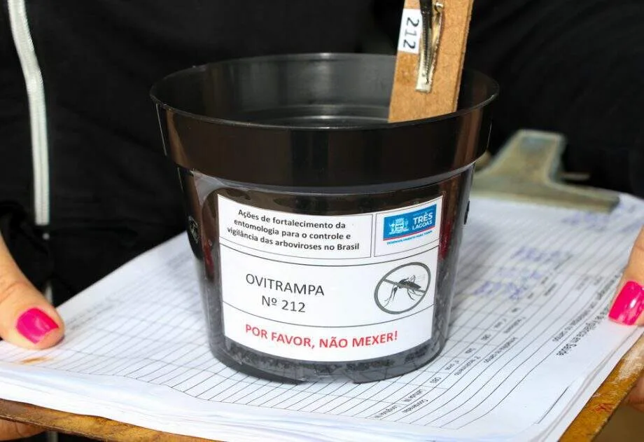 Ovos do Aedes aparecem em 60% das armadilhas de Campo Grande