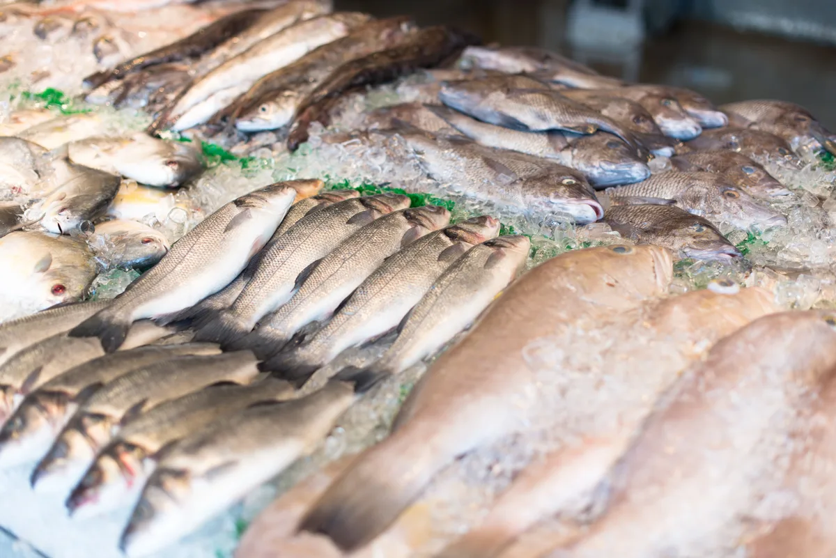 La merluza, el pescado rico en proteínas que protege el sistema nervioso y cuida los huesos y los músculos