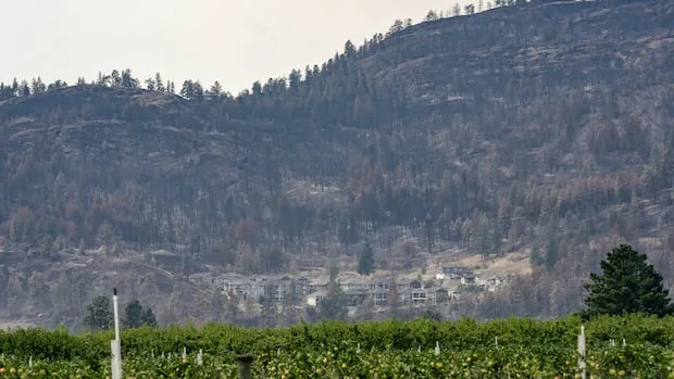 Evacuation order lifted for majority of Summerland, B.C.