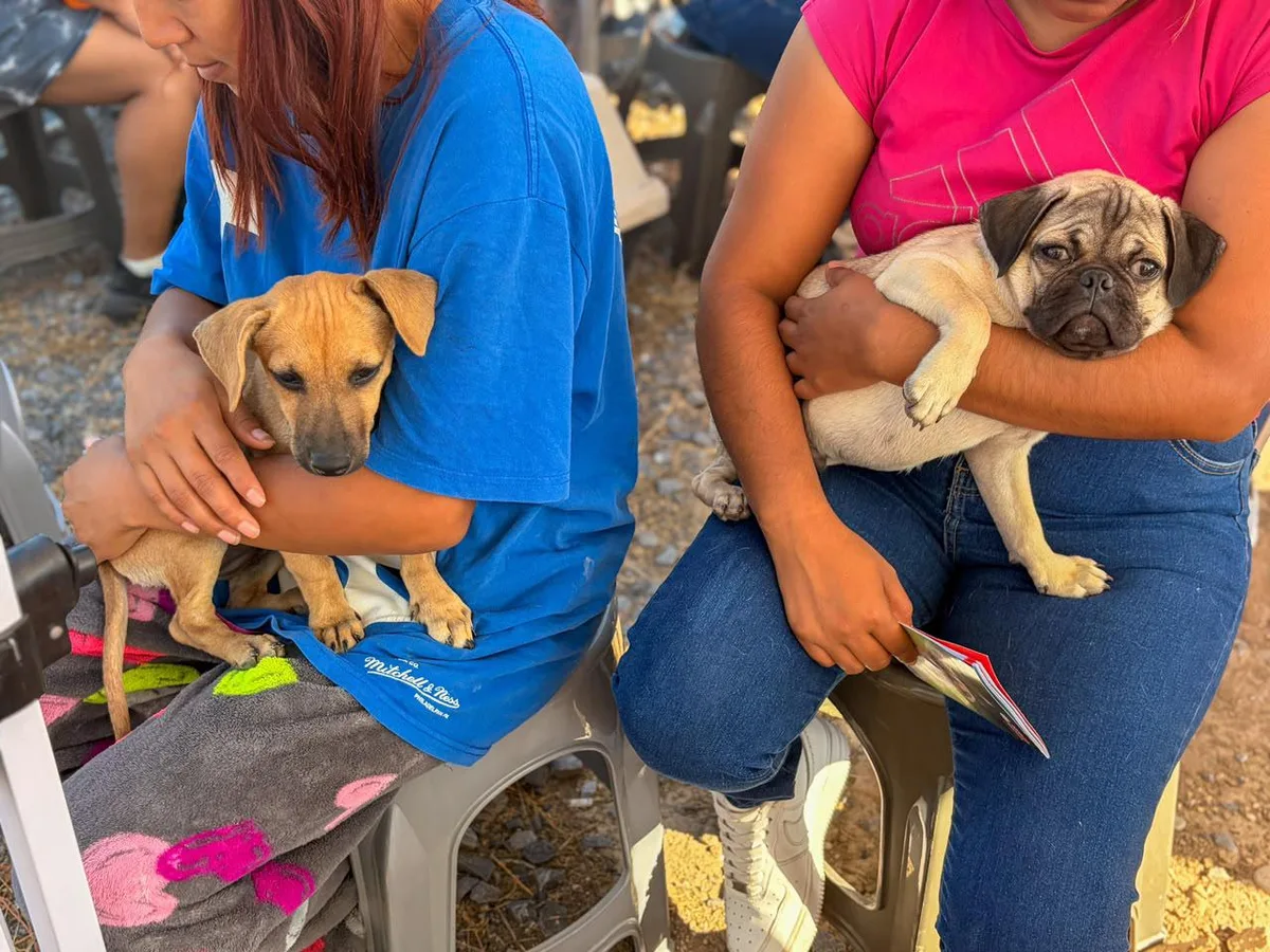 Brinda DIF Ramos Arizpe 83 servicios gratuitos de bienestar animal