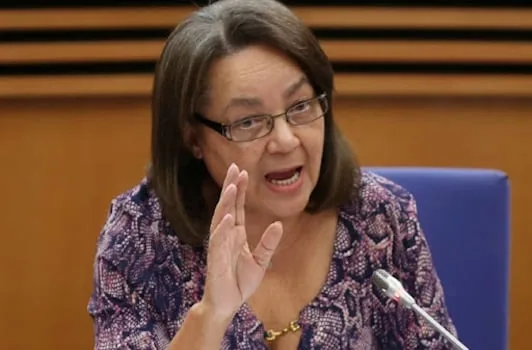 Electoral Court fines Good Party R130k over undisclosed R900k donation