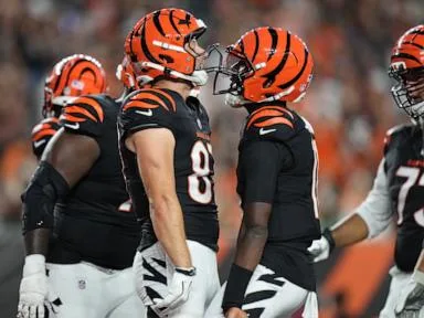 40-year-old journeyman QB Josh Johnson leads Bengals to 27-9 preseason victory over Bears