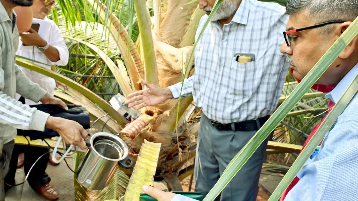 ICAR-CPCRI, Coconut Development Board launch innovative tree-top Coconut Sap Concentrator, cutting sugar production cost by 53.4%