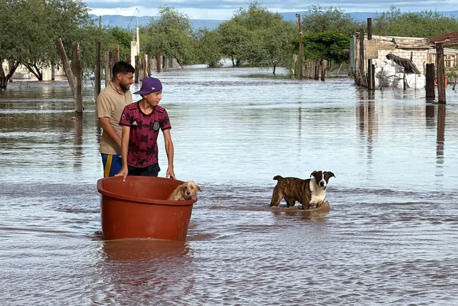 Un estudio vincula la influencia del cambio climático con El Niño en el huracán Polo