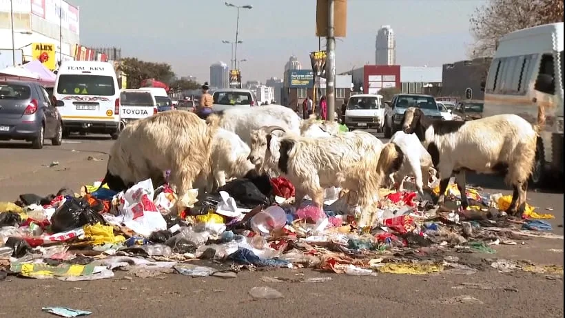 Mehr als 2000 illegale Müll-Brennpunkte - Johannesburg versinkt im Abfall