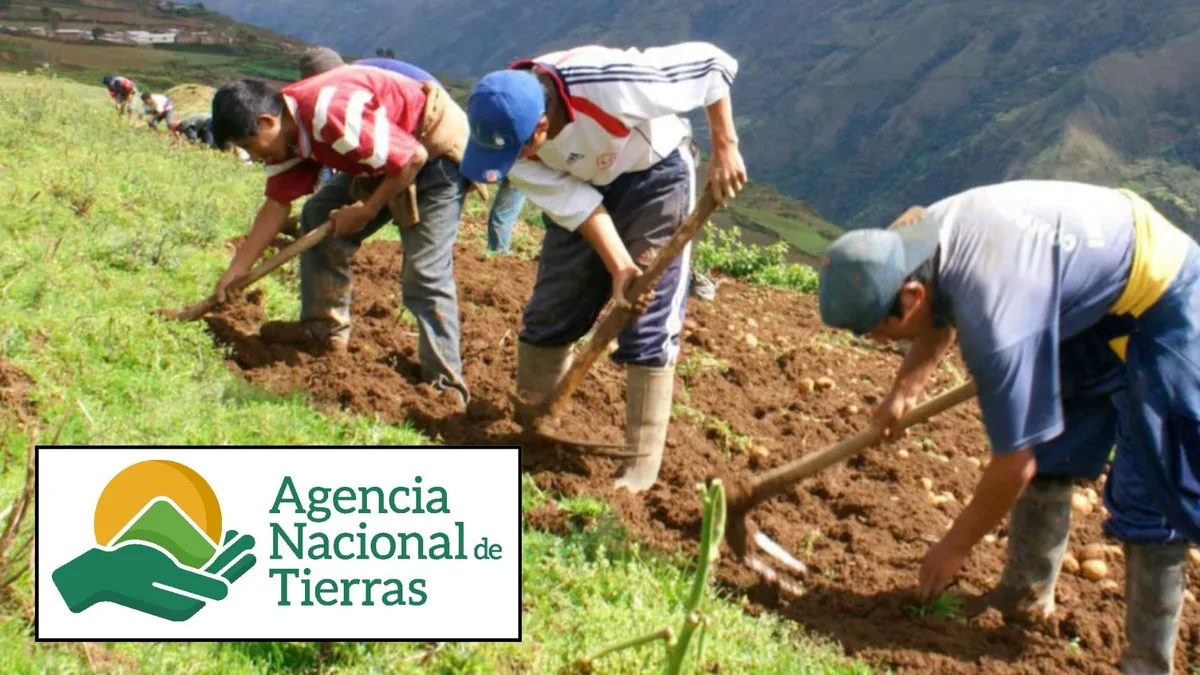 Tribunal ordenó a la ANT revelar información clave sobre la compra y adjudicación de tierras de la Reforma Rural de Petro
