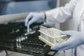 Descubren cómo una proteína ayuda a evitar que las células inmunitarias se activen en exceso