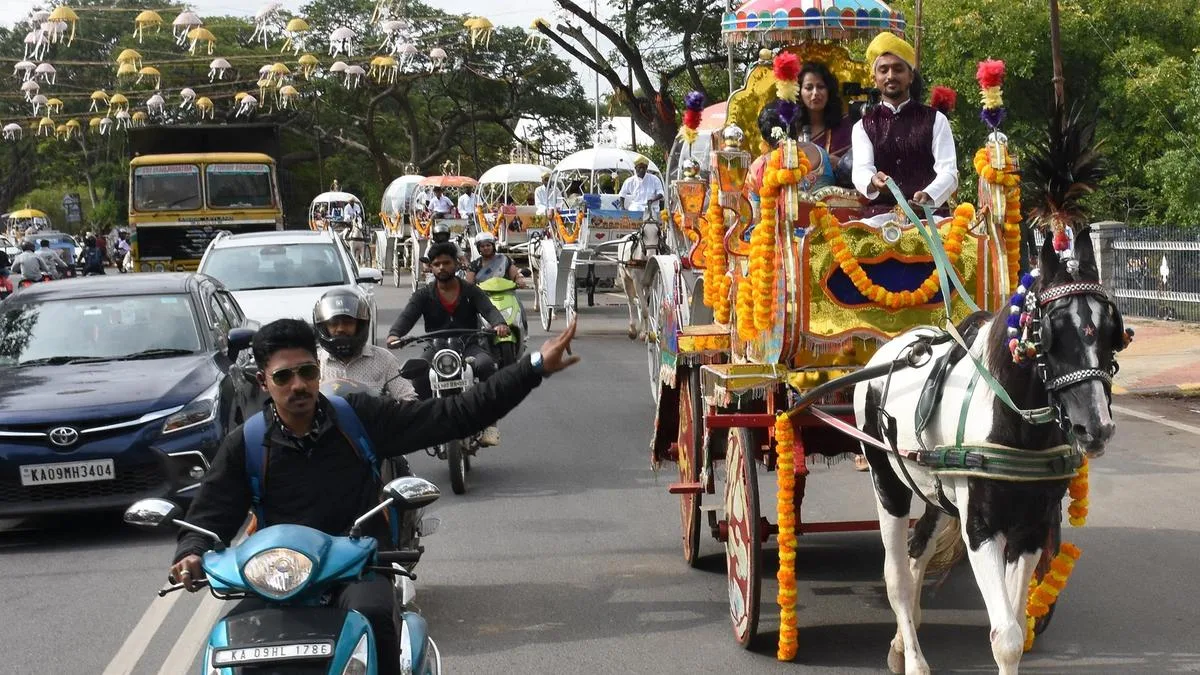 Heritage tonga ride for couples in traditional attire