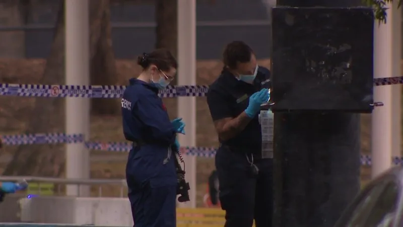 Teens charged with murder after Western Sydney stabbing death