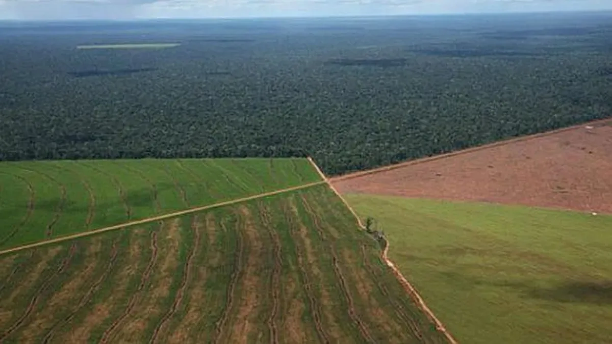 Cuáles son los límites para la venta de campos a extranjeros que rigen luego del fallo de la Corte Suprema